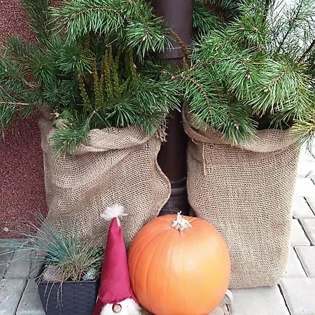 Habitación en casa particular Barbara Pietraszek *