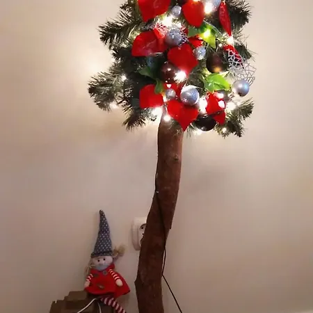 Barbara Pietraszek *