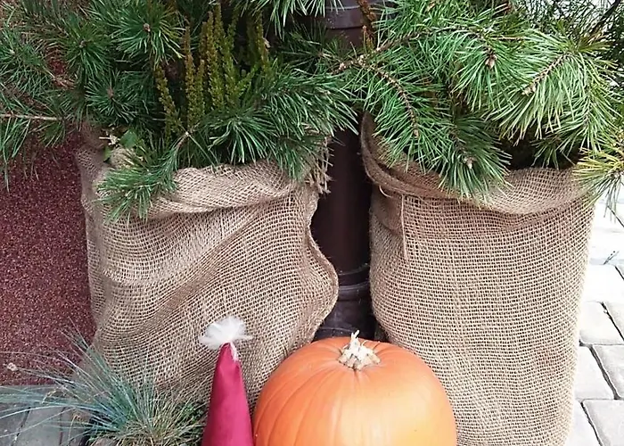 Habitación en casa particular Barbara Pietraszek *