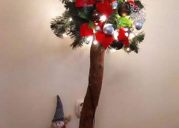 Barbara Pietraszek *